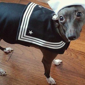 Meet your Posher, Hai